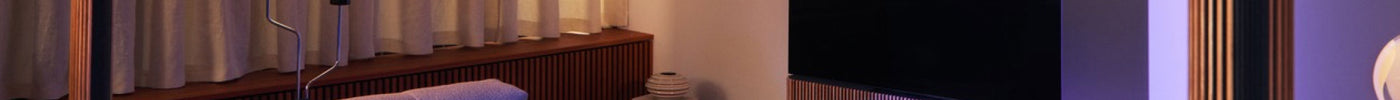 Enhancing your interior with exquisite speakers