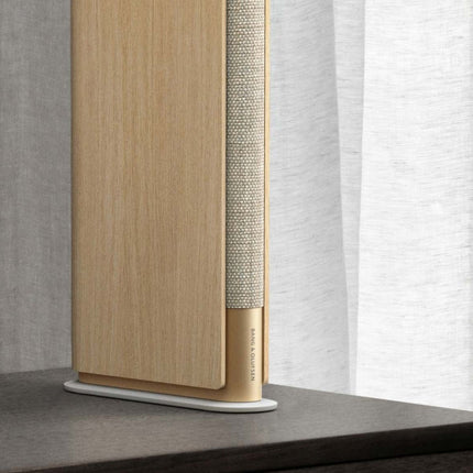 Collection image for: Party speakers