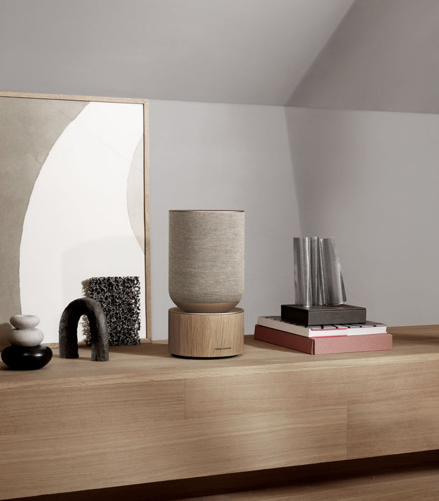 <h3>Wireless speakers</h3>