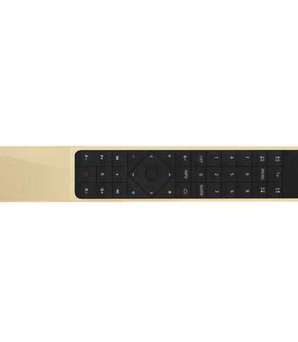 Bang & Olufsen BeoRemote 1 BT