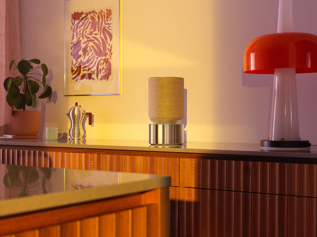 <h3>360° living room filling speaker</h3>