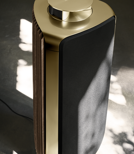 Bang & Olufsen BeoLab 50