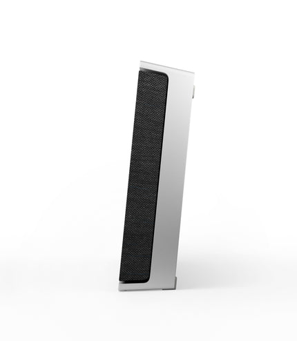 Bang & Olufsen BeoSound Level gold