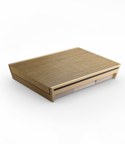 Bang & Olufsen BeoSound Level gold