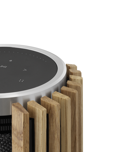 Bang & Olufsen B&O BeoLab 28