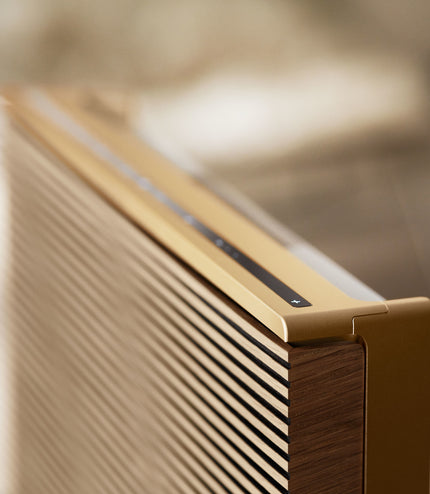 Bang & Olufsen BeoSound Level silver