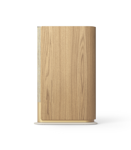 Bang & Olufsen BeoSound Emerge