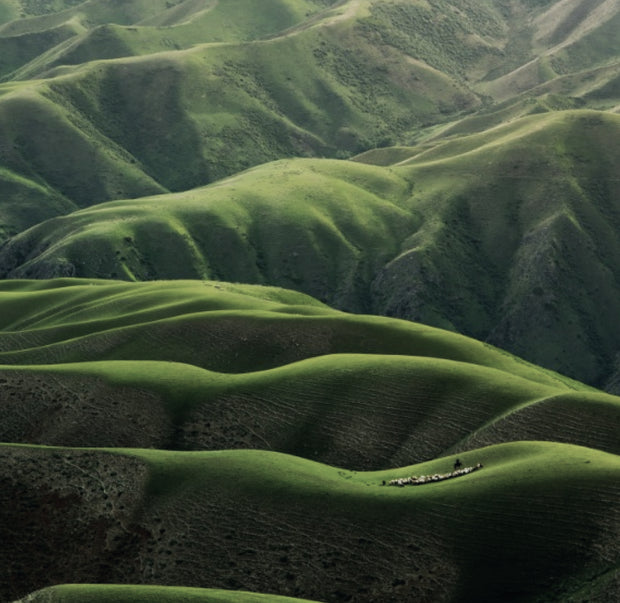 <h3>Only one earth</h3>