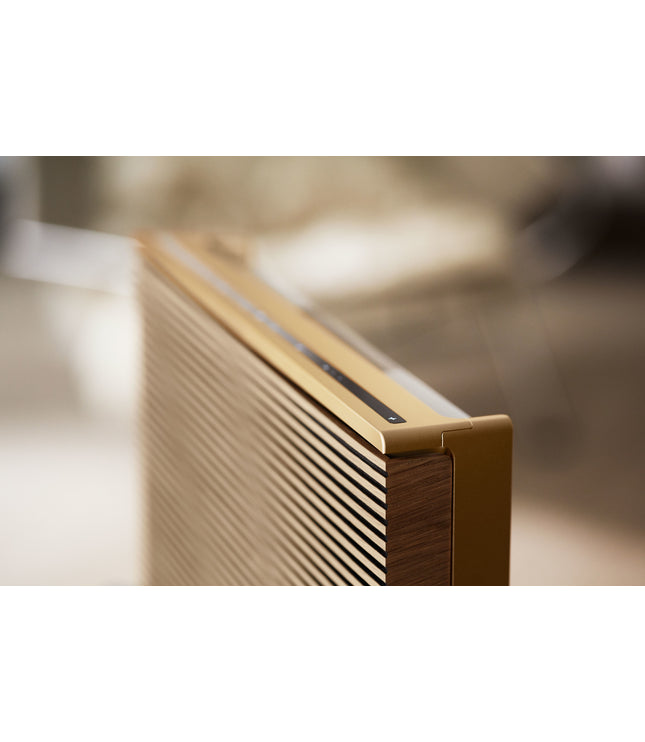 Bang & Olufsen BeoSound Level silver
