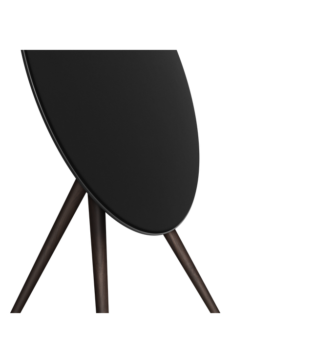 Bang & Olufsen BeoSound A9 MK5 Black