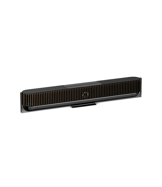 Bang & Olufsen BeoSound Theatre