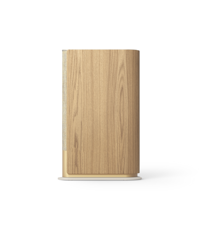 Bang & Olufsen BeoSound Emerge